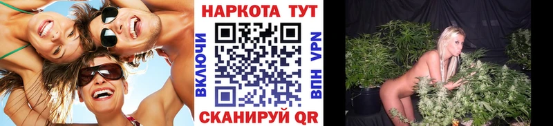 Гашиш Шарья