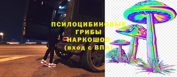 круглые Алзамай