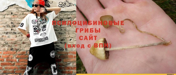 мяу мяу мука Абдулино