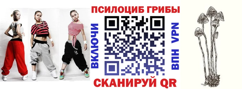 Псилоцибиновые грибы прущие грибы  где купить   Шарья 